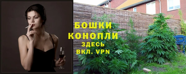 спайс Богородицк