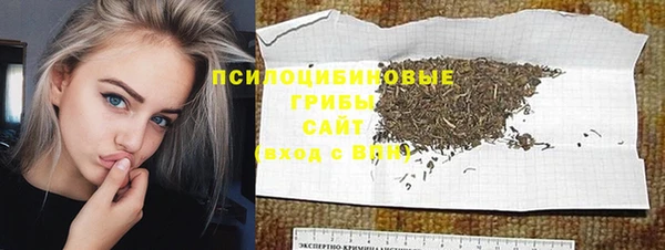 спайс Богородицк