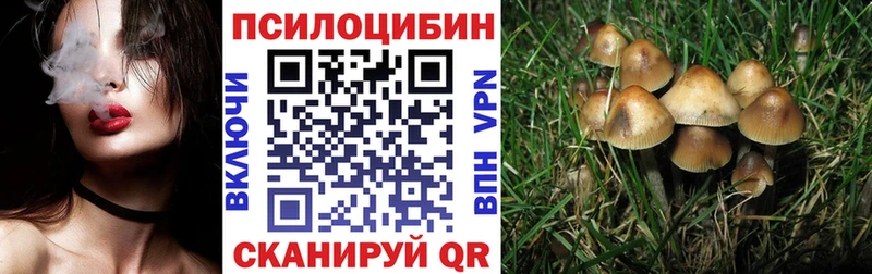Купить закладки  Горнозаводск  Галлюциногенные грибы прущие грибы 