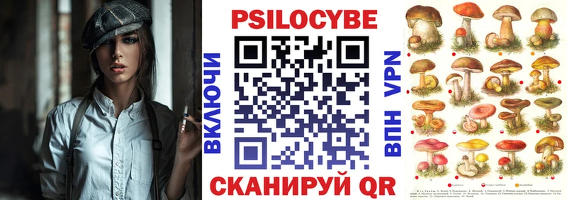 Псилоцибиновые грибы мицелий Горнозаводск